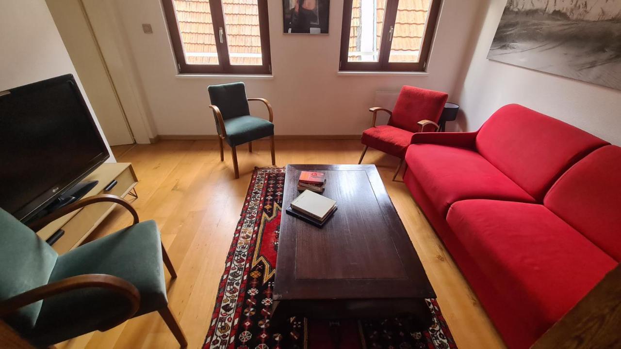 Selestat Entre Colmar Et Strasbourg Apartment Екстериор снимка