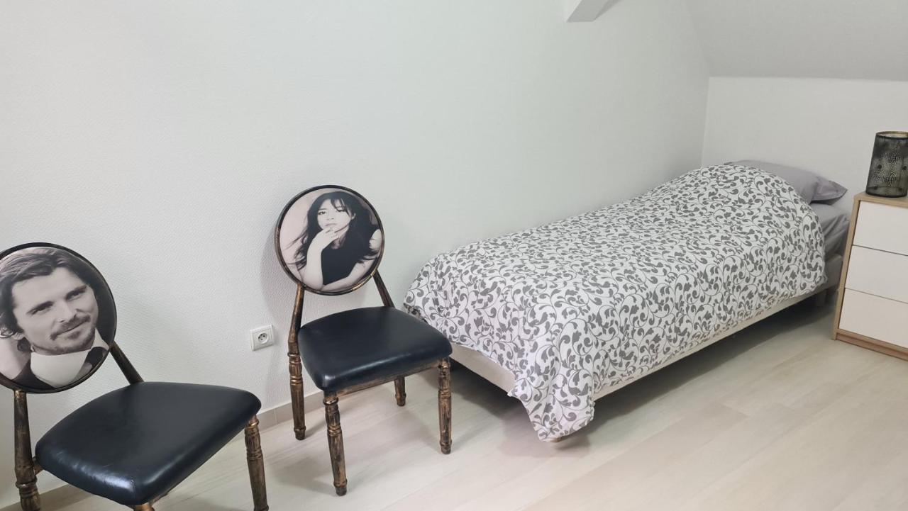 Selestat Entre Colmar Et Strasbourg Apartment Екстериор снимка