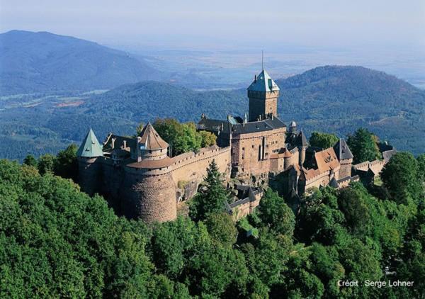 Selestat Entre Colmar Et Strasbourg Apartment Екстериор снимка